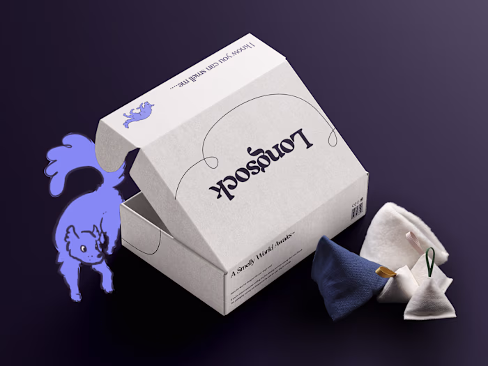 Longsock Brand Identity 