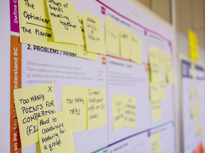 Project Management for a Government Agency