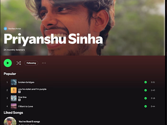 My mainstream songs on Spotify