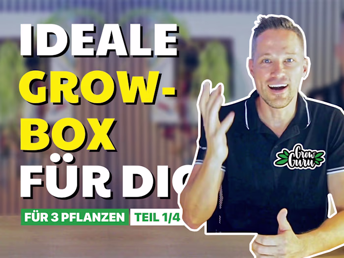 Cannabis Growth YouTube channel