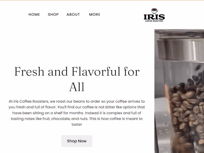 Website Creation and Maintenance 