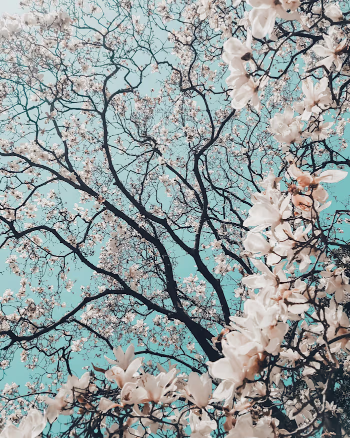 Email Marketing Copy