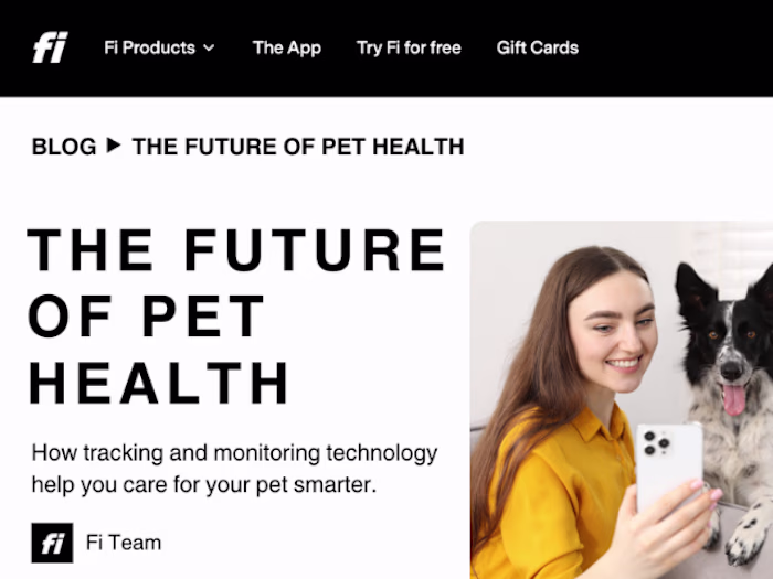 Sample blog post for Fi,