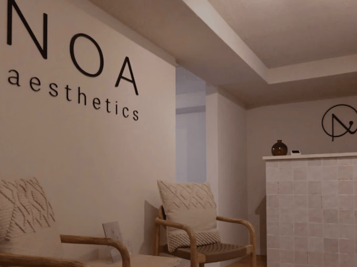 NOA aesthetics [Business Starter Brand Design]