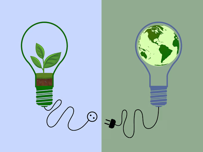 Strategic New Market Expansion for a Renewable Energy Enterprise