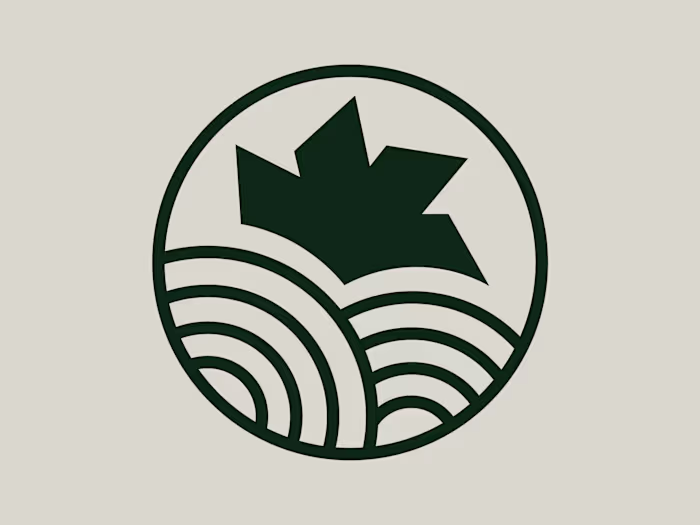 Brand Identity for International Aviation Alliance Brand