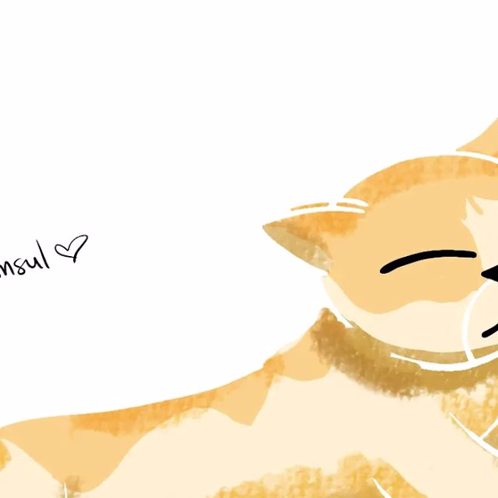 Enana on Instagram: “My cat”