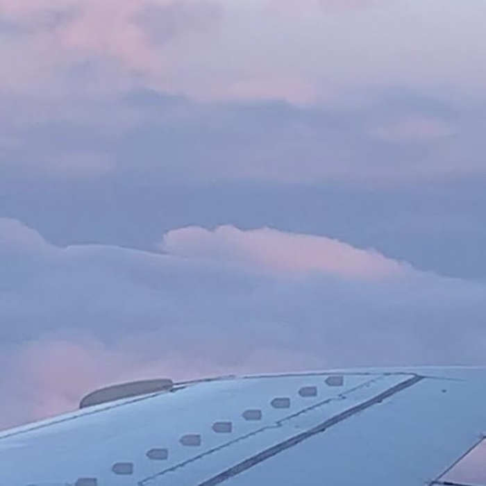 𝑺𝑶𝑭𝑰𝑨 on Instagram: “I wanna fly, can you take me far away…