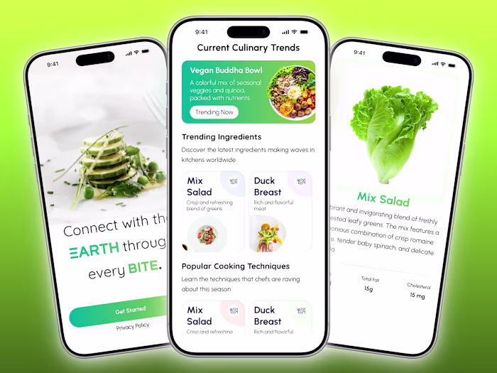 Food App UI Design