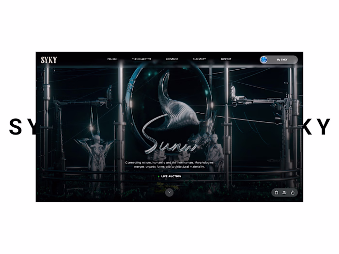 Exploring the digital identity for a web3 fashion start-up