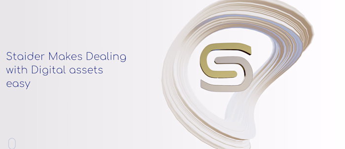 Staider Financial Website