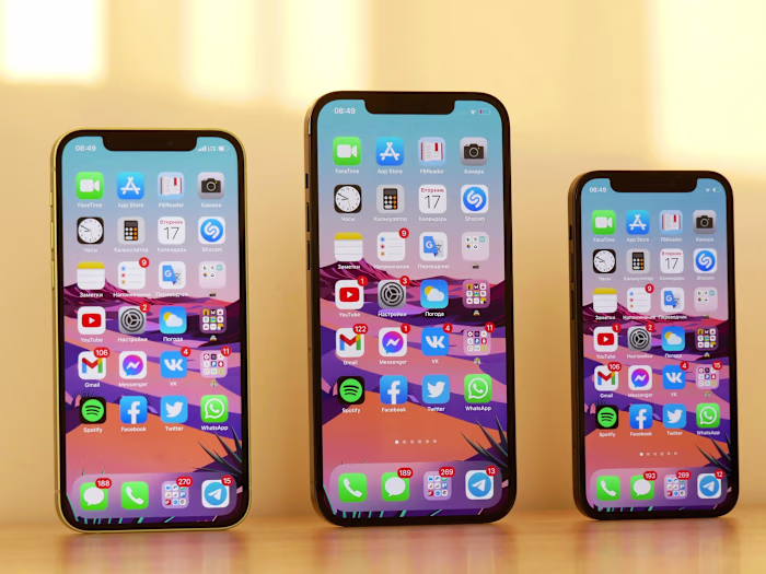 Flutter App Development