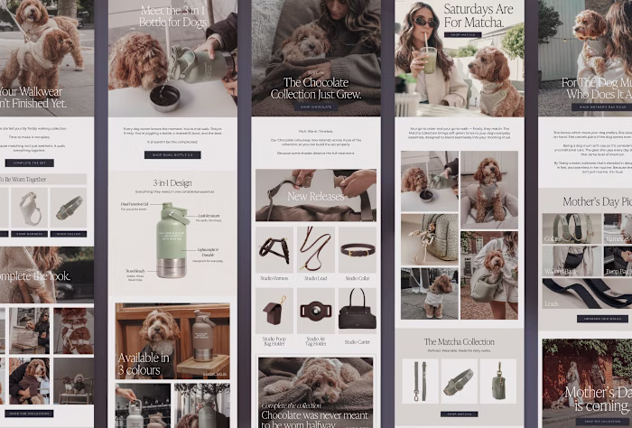 Luxury pet accessories meet editorial