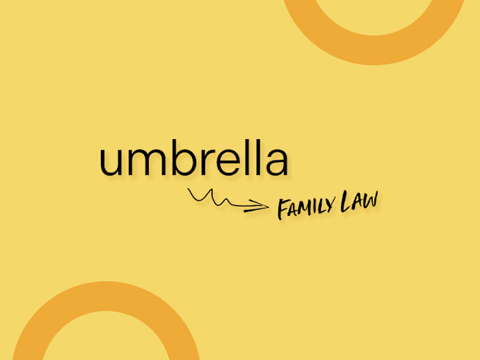 Website Intro Animation