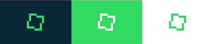 Brace Finance Branding