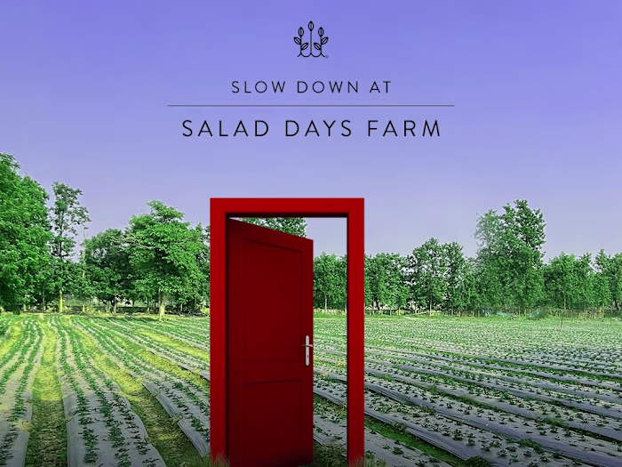 Laying the foundation of a community with a social campaign. 