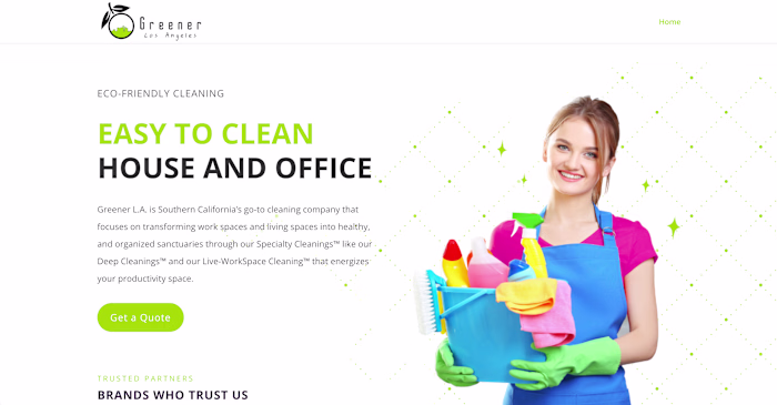 Web design for Cleaning Company