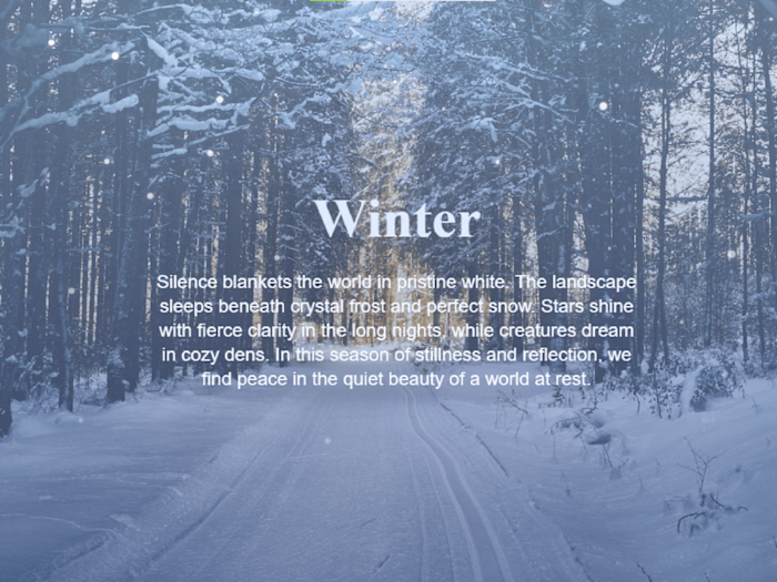 Seasonal Odyssey | An Interactive Journey