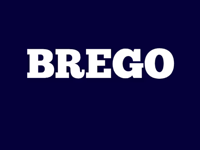 AI-Powered Business Newsletter Summarization for BREGO