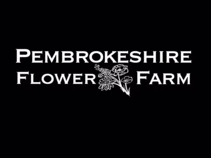 Content Strategy Plan