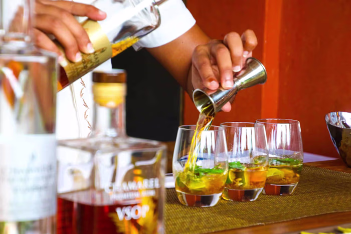 Taught Newbies How to Create Simple Cocktails