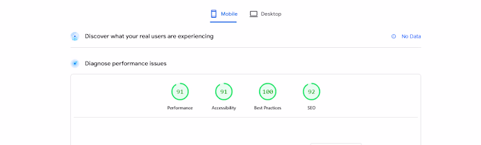 Framer Portfolio Performance Optimization