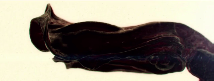 Carsi Logo Concept on Vimeo