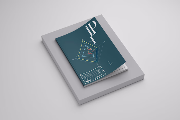 Editorial Design and Infographics for a recurring IP Report