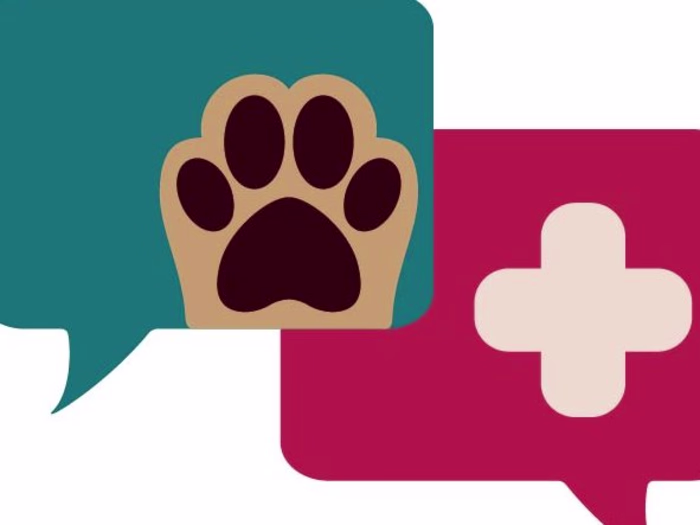 Online eCommerce for WebPet