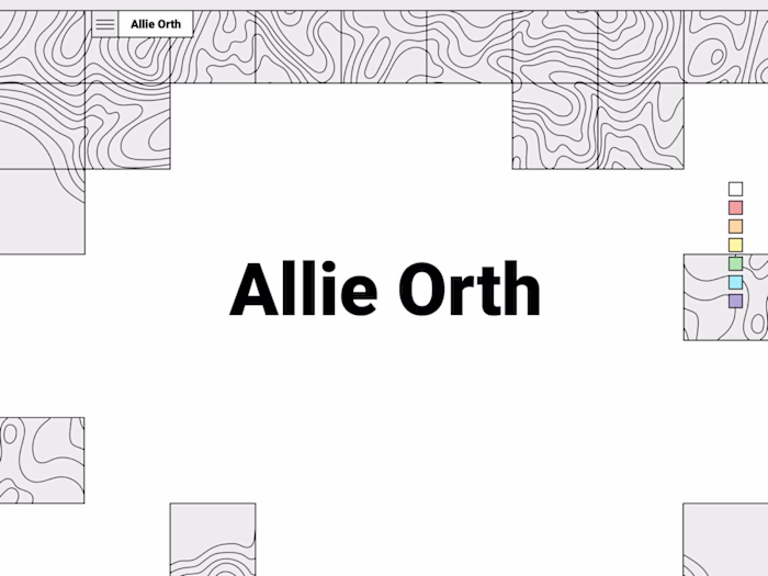 Allie Orth Portfolio