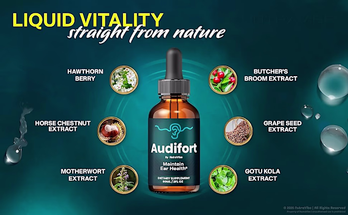 Audifort : [TOP 5 Reasons!] Why We're Your Best Choice?