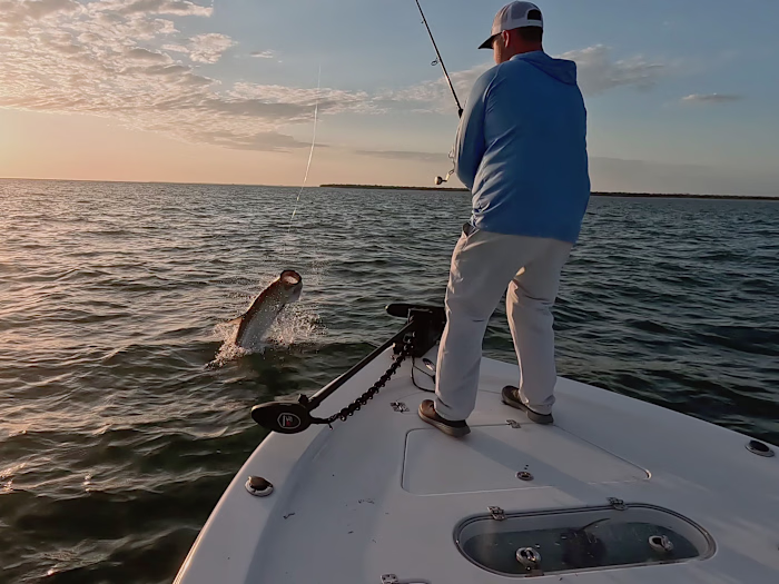 Creator, Marketer, Brand Design, Channel Strategy & Optimization