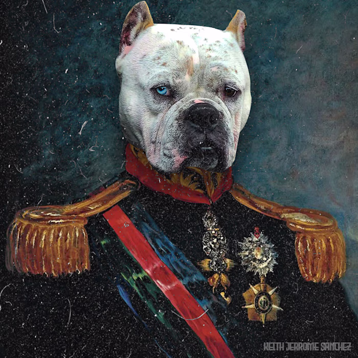 Royal Pet Portrait Design
