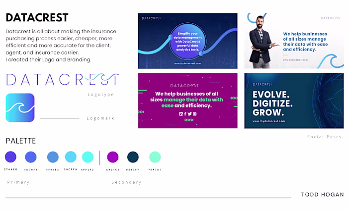 DataCrest Brand and Visual Identity