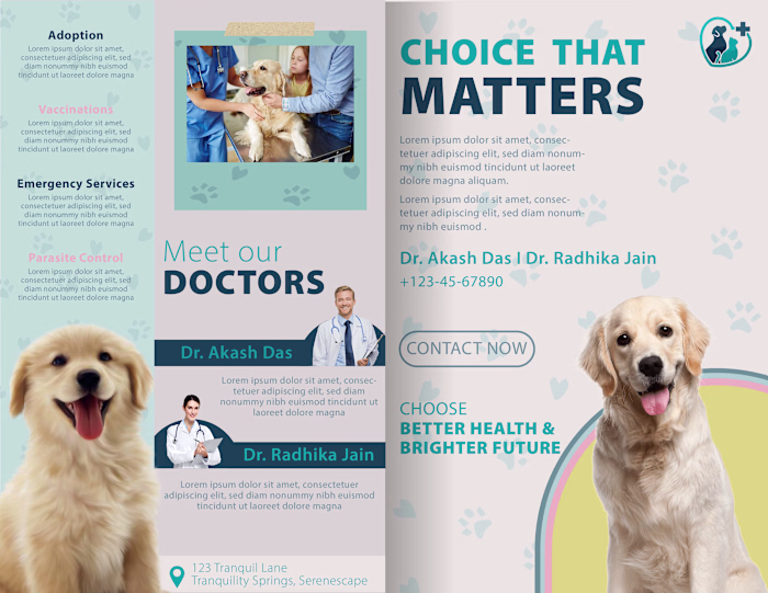 Brochures and Flyers