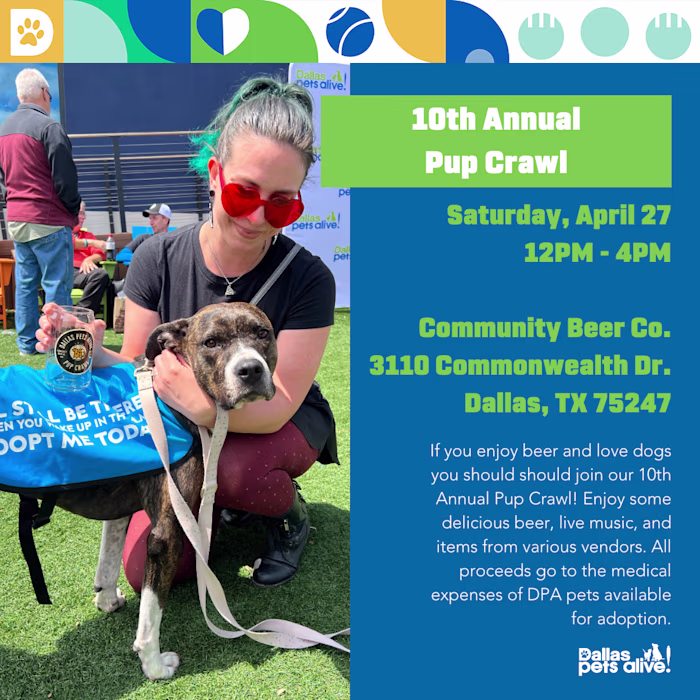 Dallas Pets Alive! - Volunteer Social Media Assistant