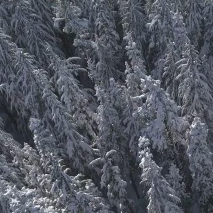 Ahsan A. on Instagram: “Commercial Video - State Fusio Need a v…