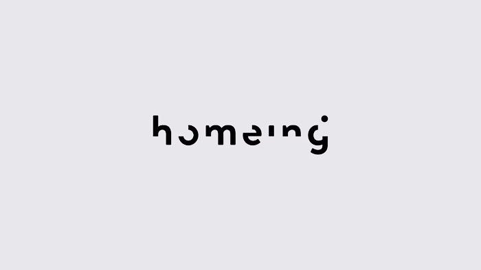 Visual identity for Homeing project