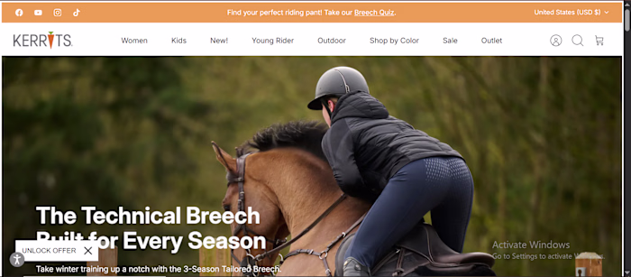 Shopify Custom Store Design
I have