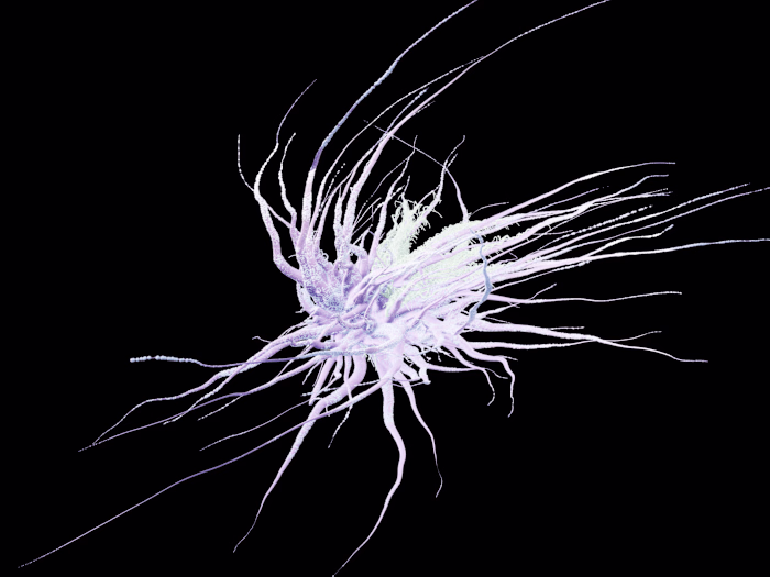 "Entropy" - 3D Artwork