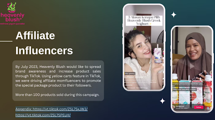I managed affiliate influencers project
