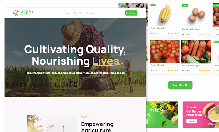 Landing Page Design and Developlemt