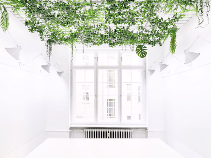 Agency Office Design: Oddity Jungle