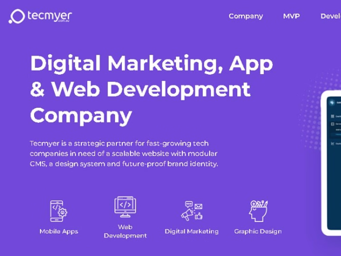 Web Content Writing for Tecmyer