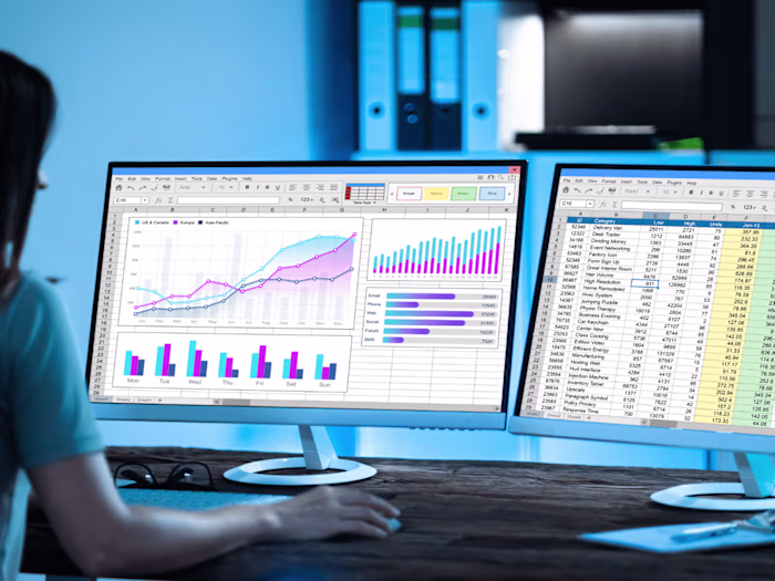 Effective Project Management Success