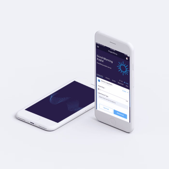 Branding and app design for IOT app