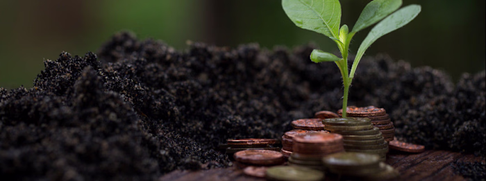 MyFairMoney Platform Development