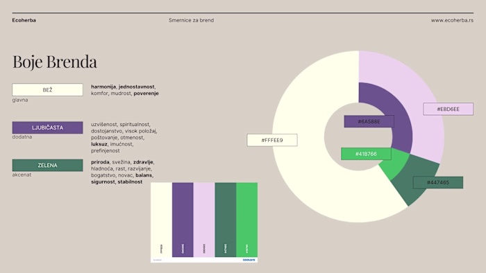 Brand book and visual identity guidelines 