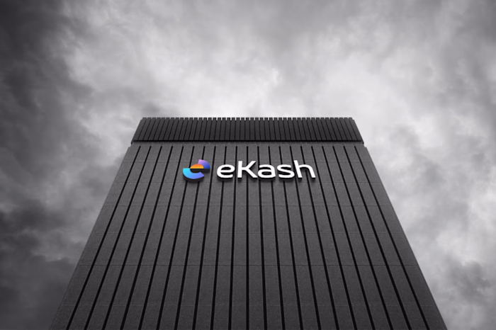 eKash Branding and Logo Design