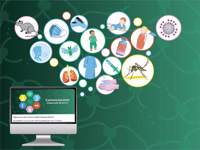 Custom Graphics for the Communicable Diseases Branch